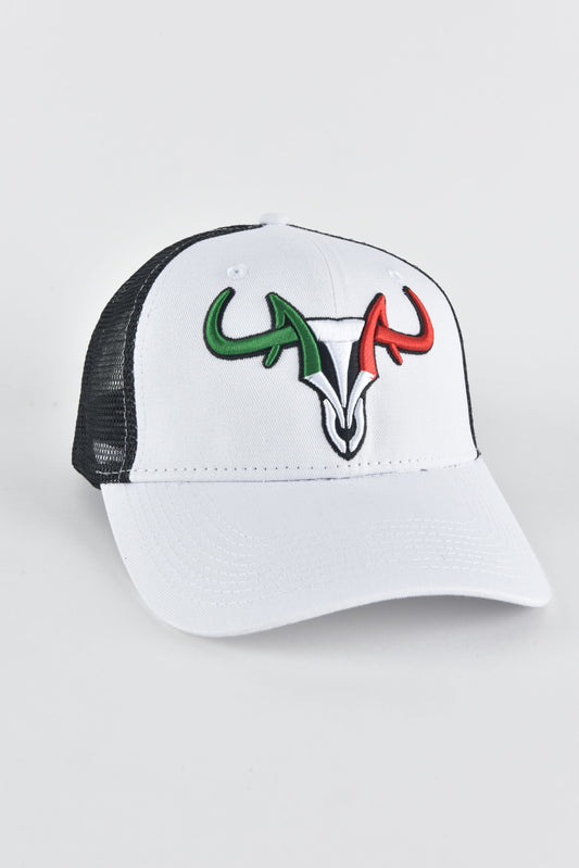 Mens MEXICO 3D Logo Baseball Cap - White