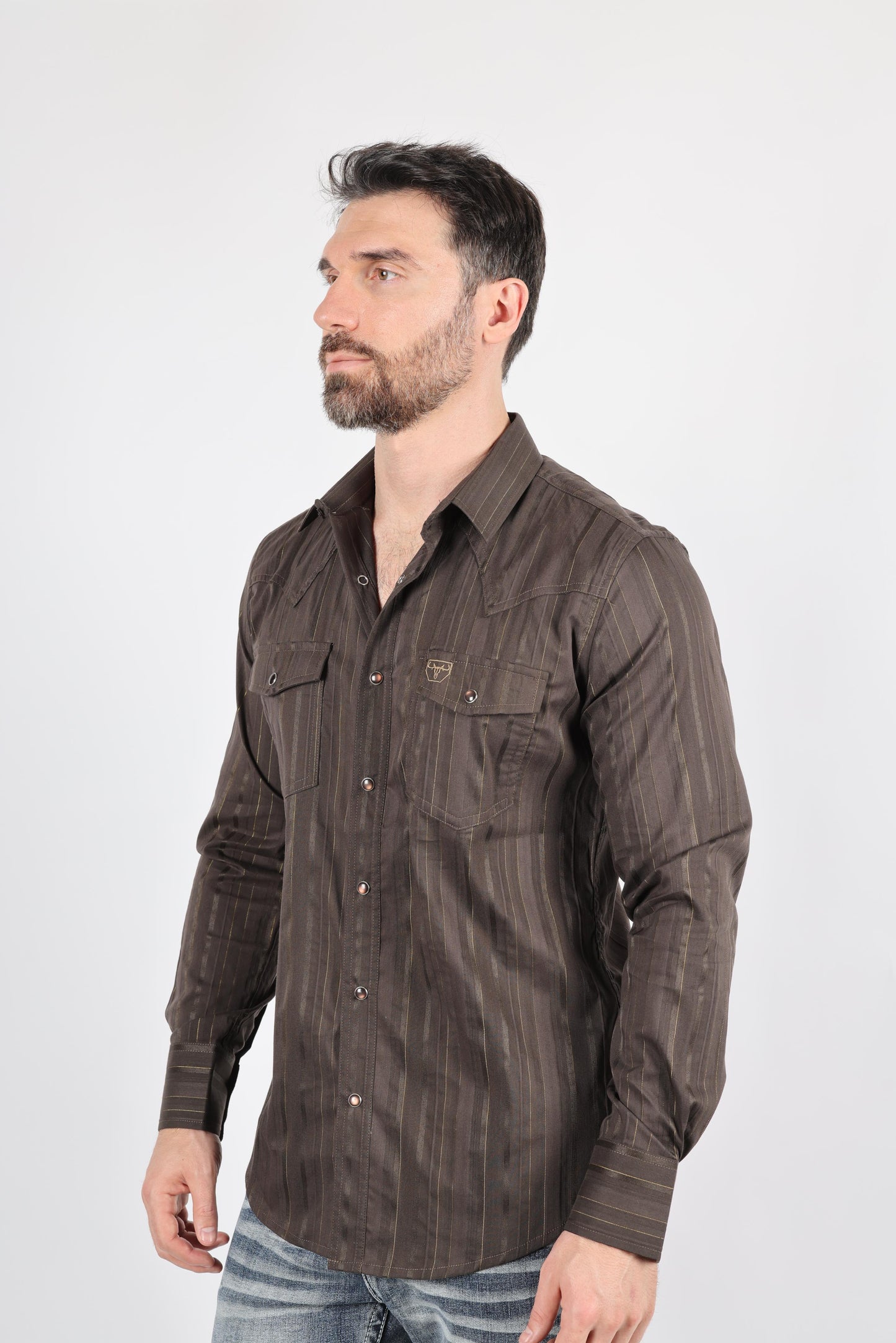 Mens Modern Fit Stretch Lurex Western Long Sleeve Shirt