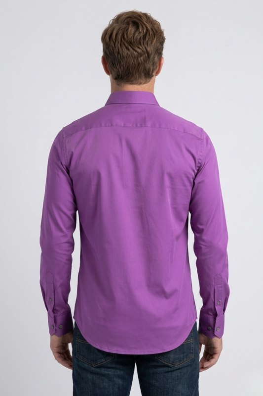 mauve cattle dress shirt men platini back