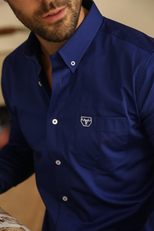 royal blue cattle dress shirt men platini back