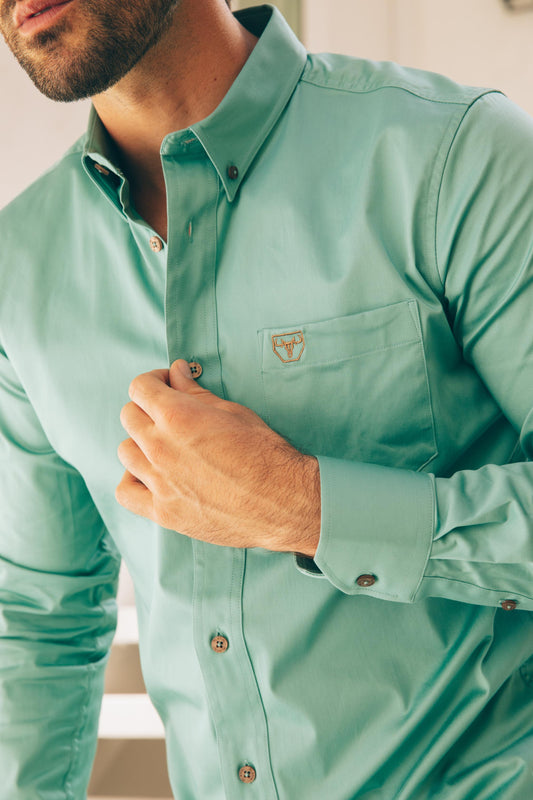 turquoise cattle dress shirt men platini back