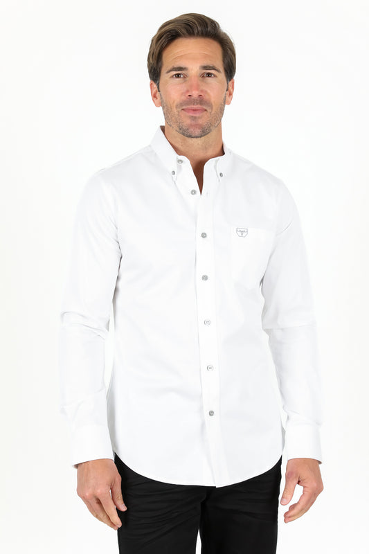 white cattle dress shirt men platini back