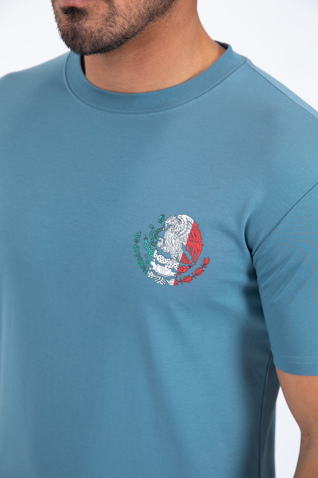 steel blue mexican eagle flag tee men platini close-up