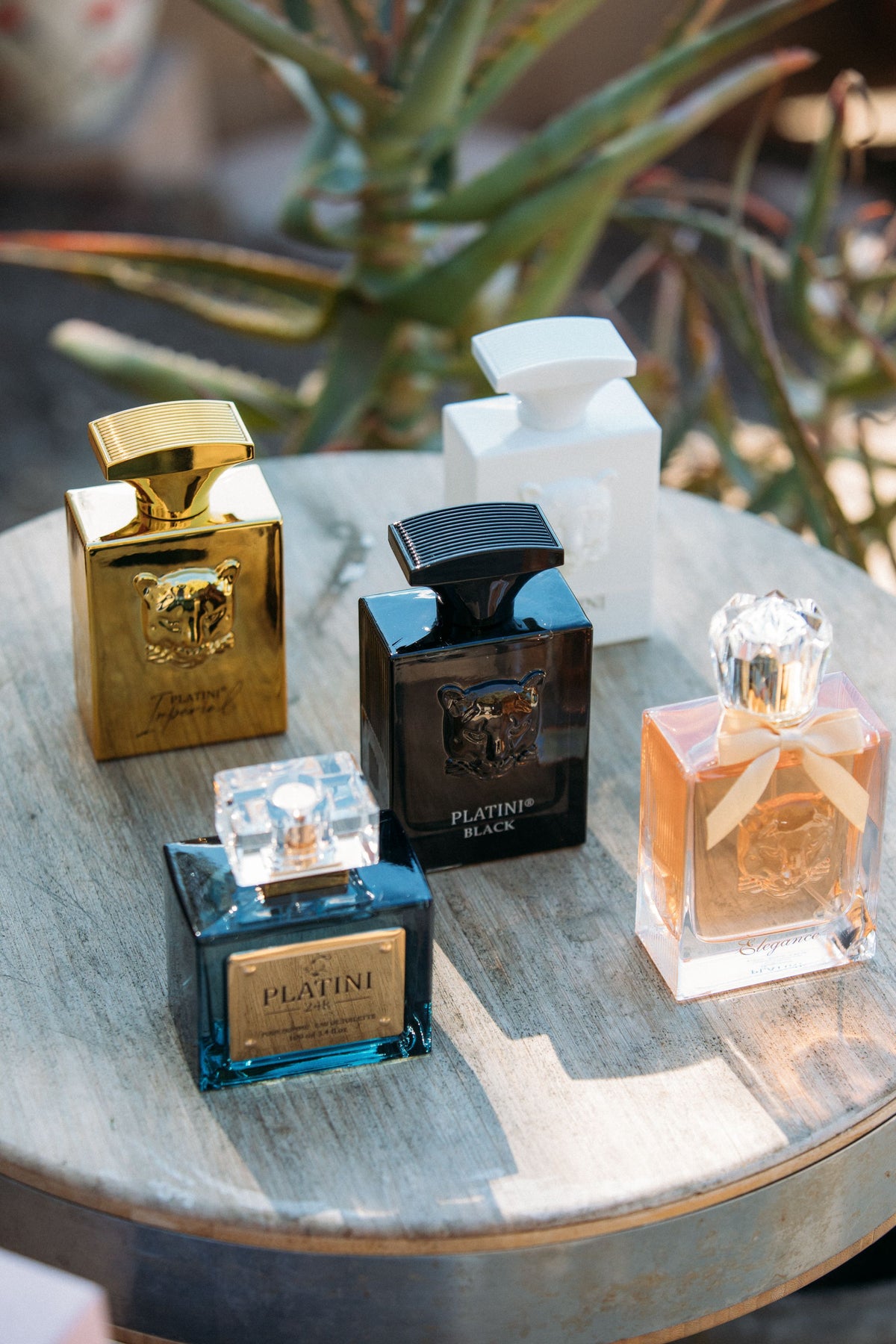 Men's 24k Pour Homme Fragrance | Platini Fashion